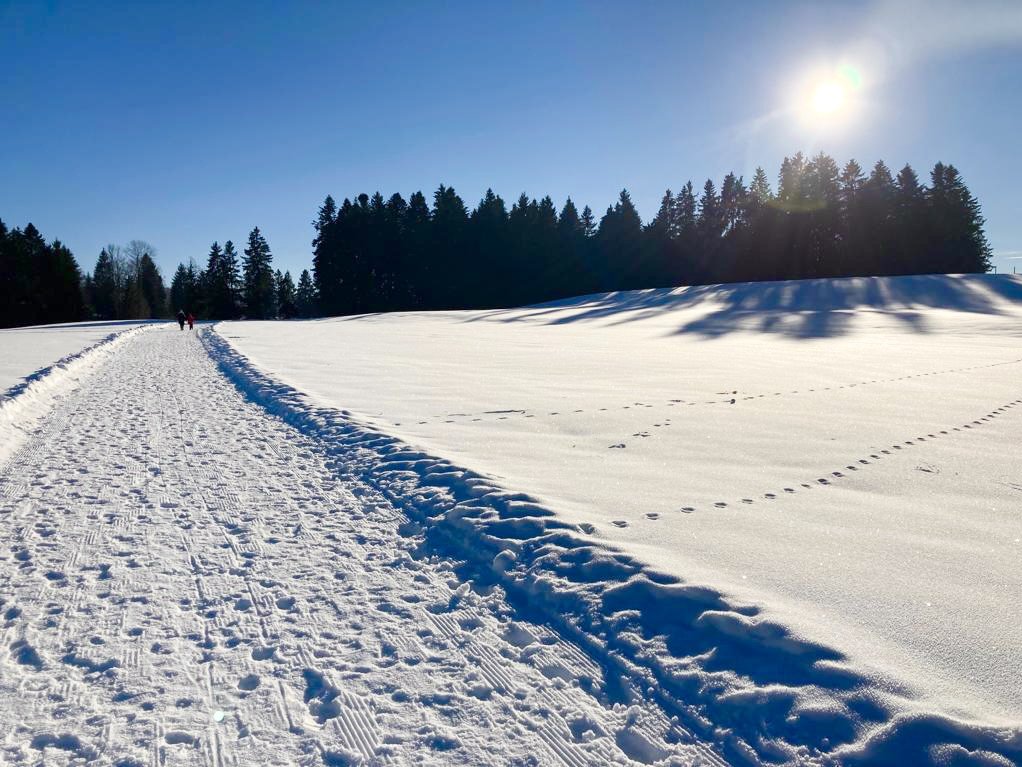 Winterwanderweg Hopfen mit Spur Foto Birgit Spieler